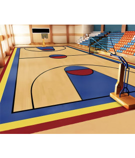 Basketball Court- Indoor Taraflex 6mm