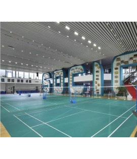 Basketball Court- Indoor Taraflex 6mm