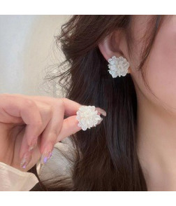 Earrings, Ins Korean Style & Light Luxury - High-End Versatile Stud Earrings