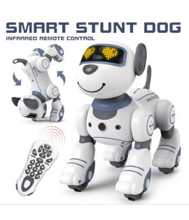 Smart stunt dog