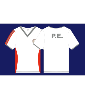 ADSCO V-Neck PE T-Shirt-Dry Fit GS-HS