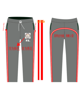 ADSCO Grey Jogging Pant GS-SH