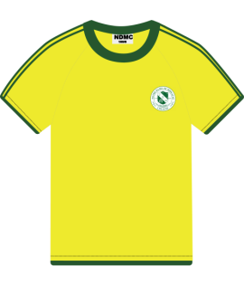 NDMC T-SHIRT for SHS