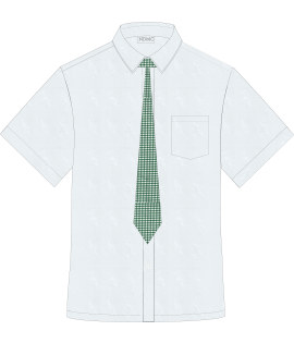 NDMC SHS POLO with necktie
