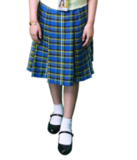 SCC-PS-Elementary Skirt