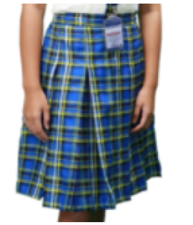 SCC-JHS Skirt