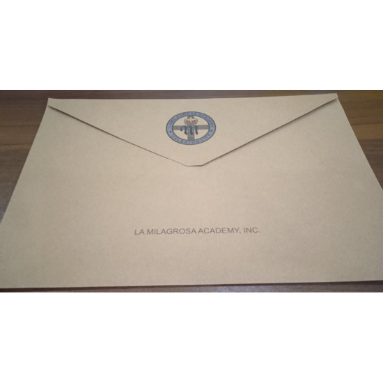 LMA Brown Envelope Long|pc