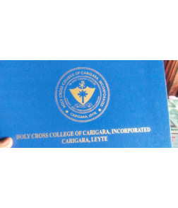 HCCC DIPLOMA HOLDER