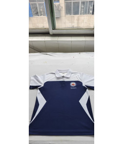 HCCS Gr.11 PE T-Shirt