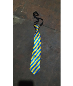 HCCCI Necktie
