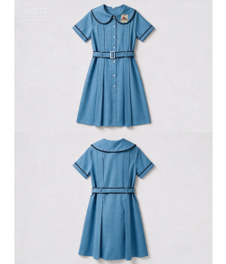 SDSS DRESS